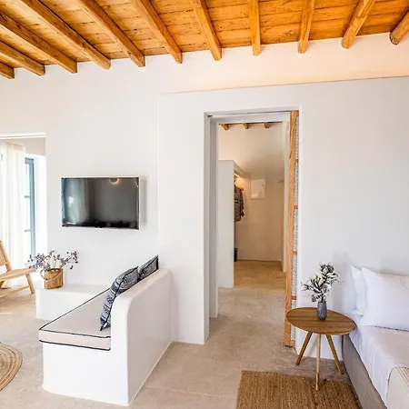 Willa Mykonos House Serene